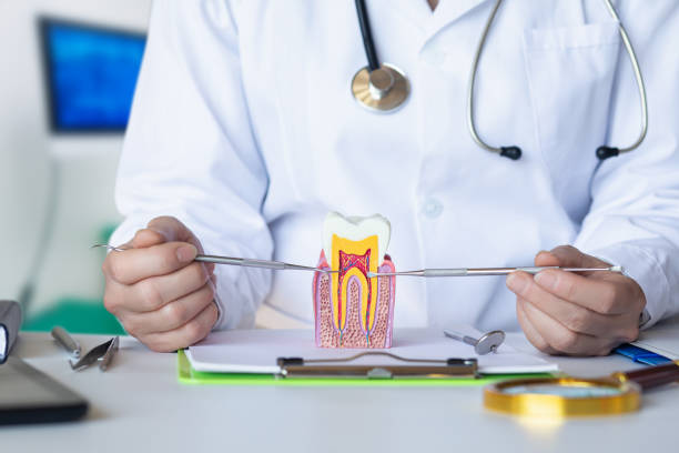 Best Weekend Emergency Dentist in Bridgewater, VA